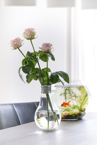_MG_9157b