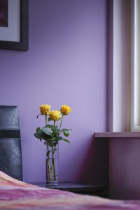 _MG_9190b