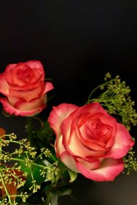IMG_9480